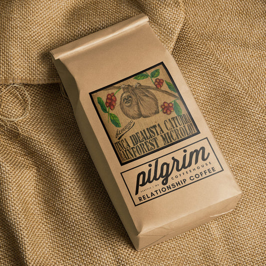 Rainforest Microlot - Nicaragua Roasted Coffee